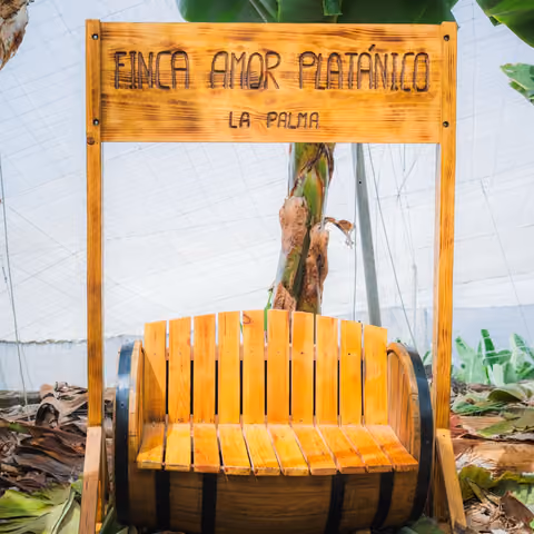 Geschnitztes Holzschild mit der Aufschrift Finca Amor Platánico, La Palma, über einer Bank aus einem Weinfass