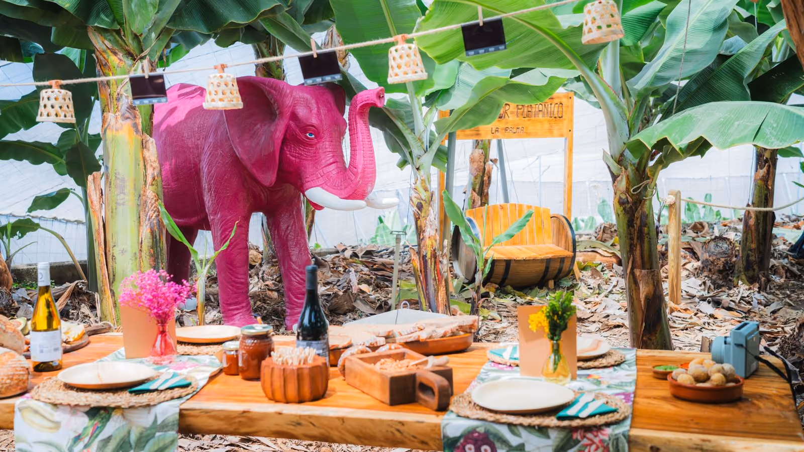 Private event at the farm: a long dressed table, the pink elephant, a barrel bench and the Finca Amor Platánico sign