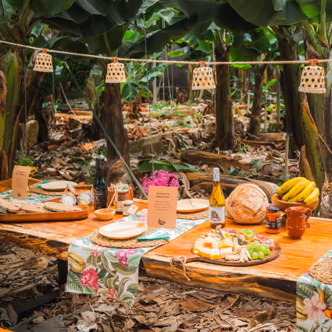 Holztisch unter den Bananenstauden, gedeckt mit palmerischem Käse, Brot, Mojo, Wein und Bananen, beleuchtet von Korblaternen
