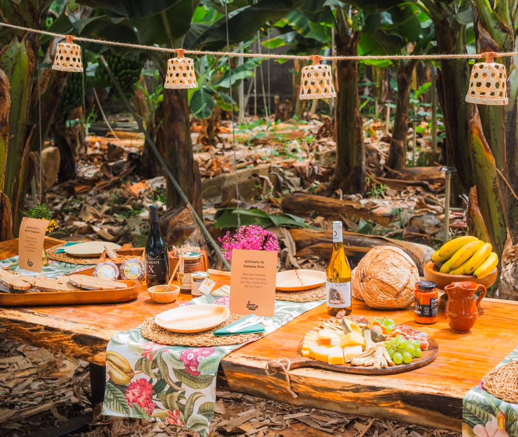 Holztisch unter den Bananenstauden, gedeckt mit palmerischem Käse, Brot, Mojo, Wein und Bananen, beleuchtet von Korblaternen
