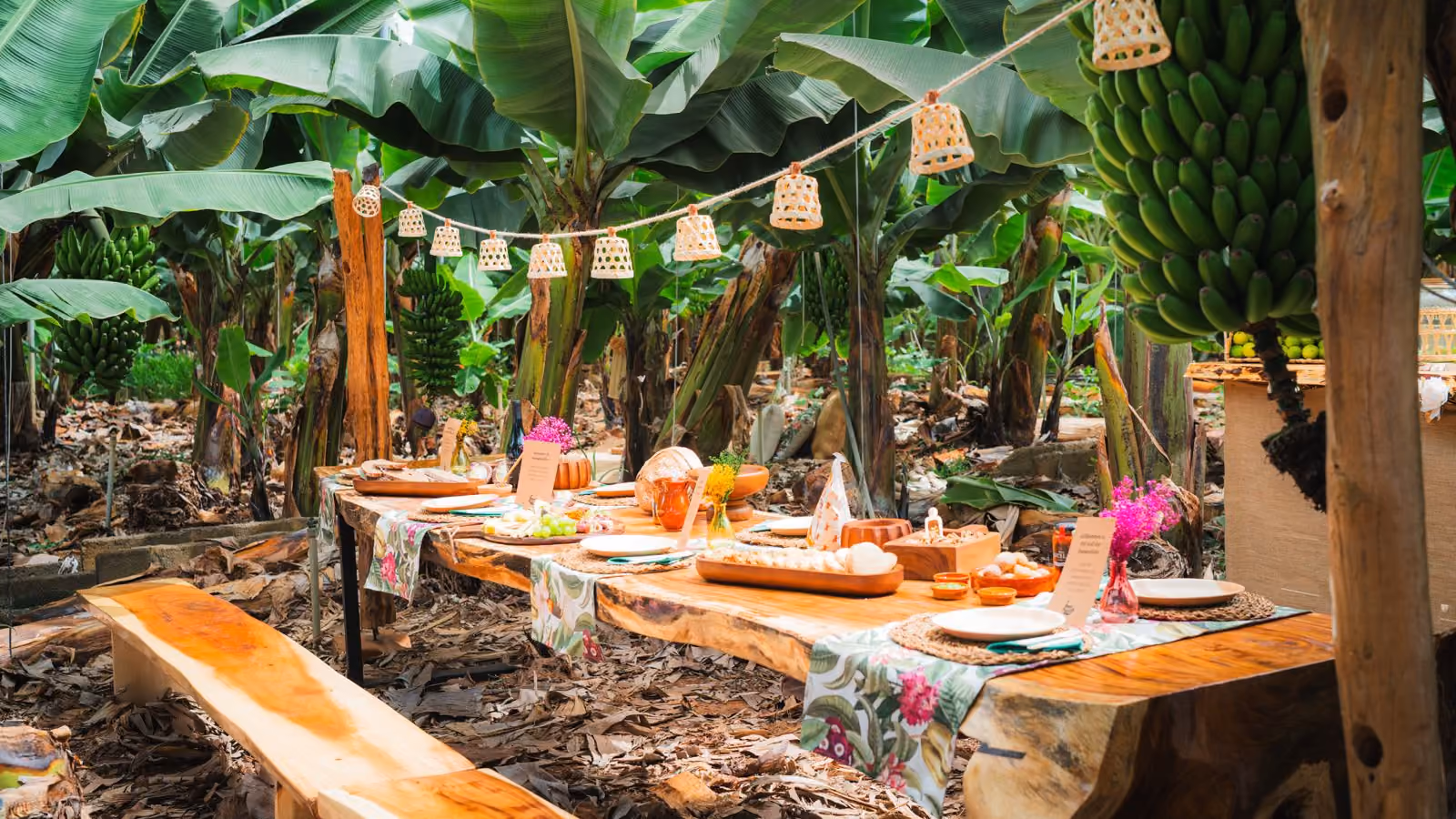 Long table laid among the banana plants, with wicker lanterns hanging above and a bunch of bananas beside it