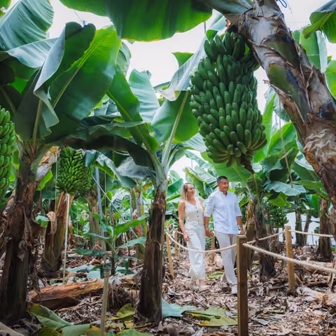 Dani und Sara, die Amor Platánico führen, gehen auf dem Weg der Finca zwischen Bananenstauden mit schweren Trauben spazieren