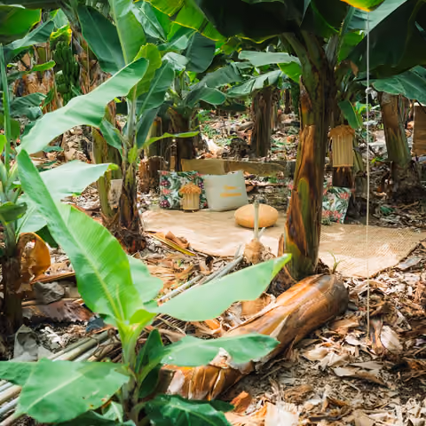 Chill-out-Bereich im Freien inmitten der Bananenplantage, mit Teppich, Kissen und Laternen